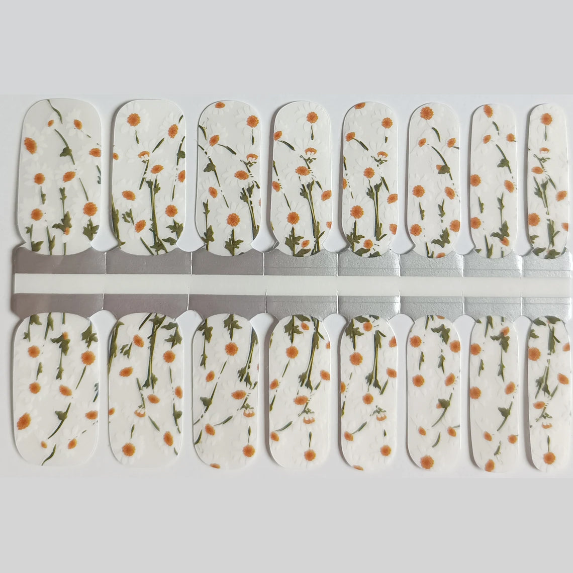 daisy garden