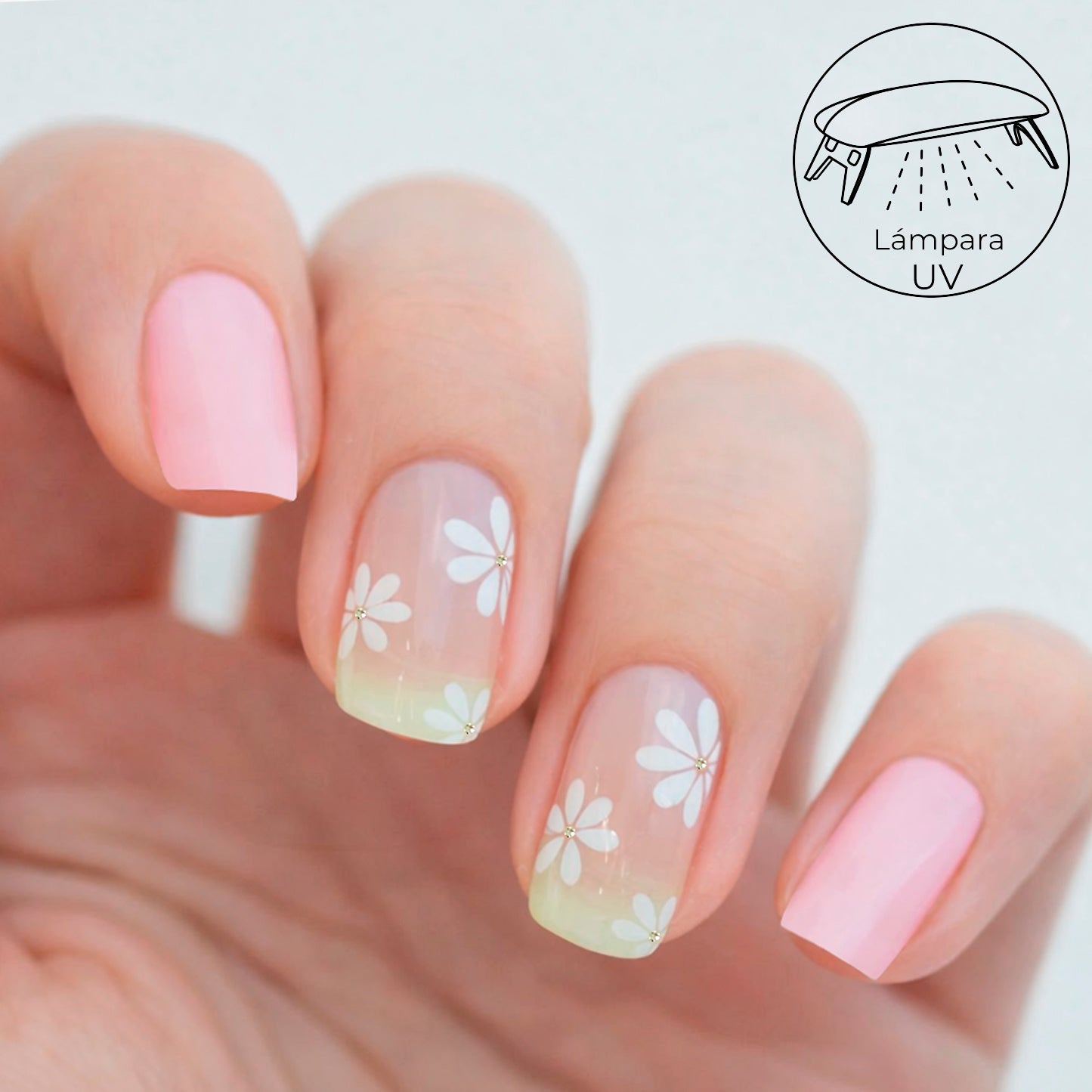 Gel Pink daisy