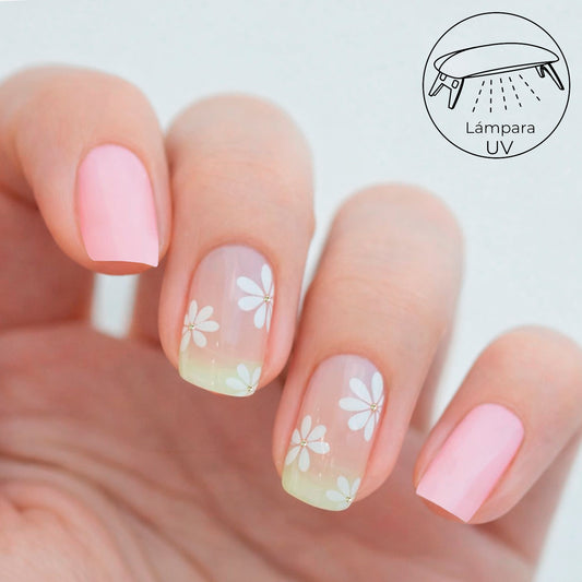 Gel Pink daisy