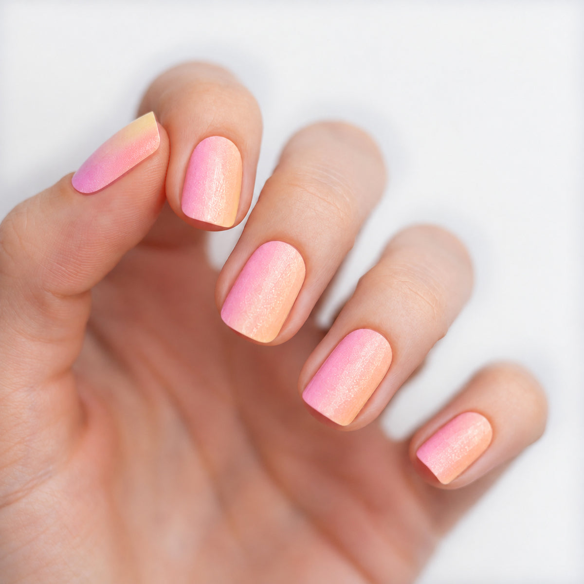 Pink Gradient